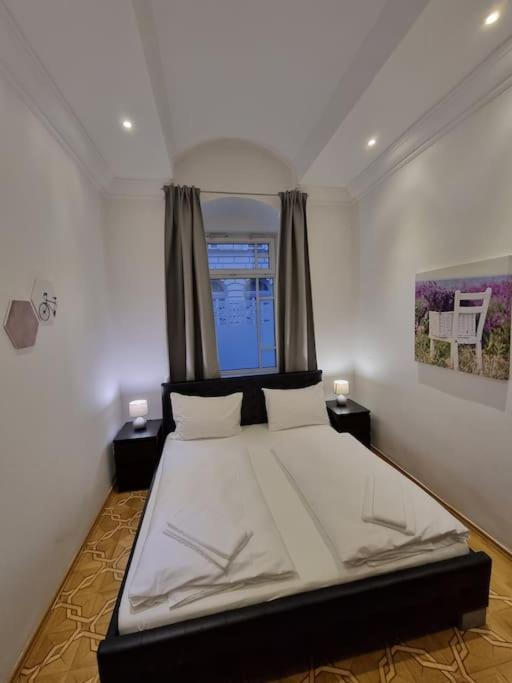Sissi Royal - Inner 4 Bedroom Appartement Vienne
